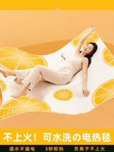 Washable Electric Blanket FZY Double Person Single Person Home Use Mite Removal Winter Warmer Double Control Milk Velvet Fabric