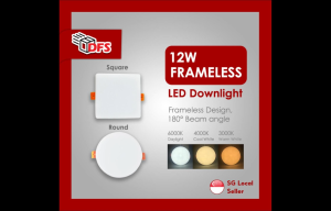 DFS LED LIGHT Frameless Led Downlight 12W(3000K/4000K/6000K