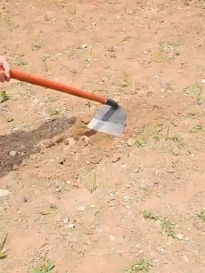 26CM จอบ จอบถากหญ้า จอบถางหญ้า จอบถากหญ้าคมๆ จอบกำจัดวัชพืช ใช้ถากหญ้า ถางดิน และพรวนดิน จอบเล็กถากหญ้า มีดถางหญ้าคมๆๆ