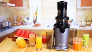 Máy Ép Chậm Thương Hiệu Mỹ Biolomix SJ-017 200W - HÀNG NHẬP KHẨU (Bảo hành 12 tháng)