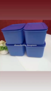 Tupperware รุ่น Chill Freez Medium High 2.5L (1ใบ) (กล่องเก็บ อาหารสดในช่องแช่แข็ง)