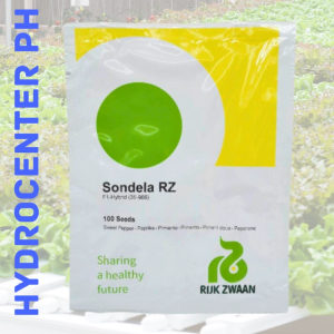 SONDENLA SWEET PEPPER 100 SEEDS BY RIJK ZWAAN