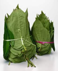 DAUN SIRIH/SIREH ကကွမ်းရွက် (FRESH NEW STOCK)