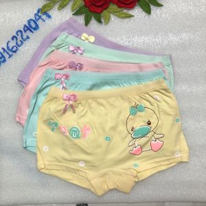 Set 5 Quần đùi bé gái cao cấp quần chíp đùi trẻ em cotton chất xịn