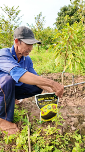 Phân Bón HUMIC Thụy Sỹ Siêu Hạ Phèn Giải Độc Hữu Cơ Bộ Rễ Phát Triển Mạnh Nhú Đọt Nhanh Lá Dày Xanh Mướt - Túi 1kg