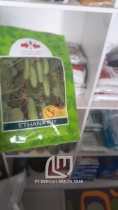 Benih Timun Ethana F1 Bibit Mentimun Cap Panah Merah 800 Butir
