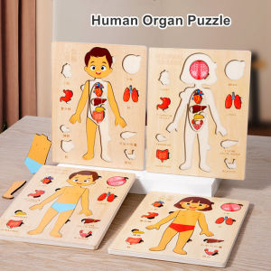 Wooden Human Body Puzzles for Toddlers Anatomy Puzzle Skeleton Human Body Organ for Kids Educational Learning Preschool Toys