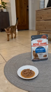 Royal Canin Light Weight Care Adult Wet Cat Food 85g Pouch in Gravy - Feline Care Nutrition for Weight Management Helps Burn Fat Maintains Muscle Mass & Supports Healthy Urinary System [New Stock]