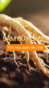 Kẹo Sâm Nữ Hoàng 165g 50 Viên Vị Ngọt Đắng Hậu Vị Thanh Ngọt Tiện Lợi Bổ Sung Năng Lượng Dưỡng Chất