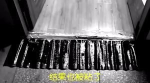 Mouse Glue Trap & Sticky Rat Trap: Indoor & Outdoor Strong Solutions