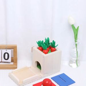 Montessori Toys for 1 2 Year Old 4 in 1 Wooden Toy Box Includes Object Permanence Box Carrot Harvest Shape Sorter-Educational Toys
