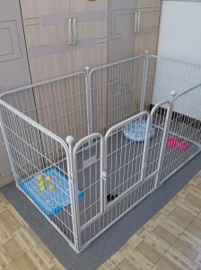 Elevate Your Space with Our Square Tube Dog Enclosure\\n\\n What Are Manila Shipped Products?\\n\\nWhen it comes to shopping online, many people prefer products that are shipped directly from the manufacturer. This is especially true for pet owners who want to ensure their furry friends receive high-quality enclosures that meet their safety needs. Our square tube dog enclosure is one such product that is shipped directly from Manila, Philippines.\\n\\n Pet Safety Made Stylish: Elevate Your Space with Our Square Tube Dog Enclosure!\\n\\nOur square tube dog enclosure is designed with pet safety in mind, while also offering a stylish touch to elevate your home decor. Made from durable materials, our enclosures are built to last and keep your dog safe and secure.\\n\\n Pet Safety Stylish Design\\n\\nPet owners often face the challenge of balancing functionality and style when it comes to their pets' enclosures. Our square tube dog enclosure offers a solution by providing both. With its sleek design and sturdy construction, our enclosures not only keep your dog safe but also complement your home decor.\\n\\n Durable Dog Enclosure Features\\n\\nOur square tube dog enclosures come with a variety of features designed to provide maximum durability and safety for your pet. Some of these features include:\\n\\n- Heavy-duty steel frame\\n- Reinforced corners for added stability\\n- Powder-coated finish for rust resistance\\n- Easy-to-clean design\\n\\nThese features make our enclosures perfect for both indoor and outdoor use.\\n\\n How to Choose the Right Size for Your Dog\\n\\nChoosing the right size for your dog's enclosure is crucial to ensure their comfort and safety. Here are some tips to help you choose the right size:\\n\\n Measuring Your Dog's Needs\\n\\nTo determine the appropriate size for your dog's enclosure, measure their length and height while standing up. Make sure to add a few inches to allow for movement and comfort.\\n\\n Customizing Your Enclosure\\n\\nOur square tube dog enclosures come in a variety of sizes, so you can choose the one that best fits your dog's needs. We also offer customization options, such as adding a roof or a door, to further enhance your pet's safety and comfort.\\n\\n Enhancing Your Home Decor with Pet Safety\\n\\nWhile safety is the primary concern when choosing a dog enclosure, it's also important to consider how it will fit into your home decor. Here are some tips to help you balance style and functionality:\\n\\n Complementary Interior Design Tips\\n\\nOur square tube dog enclosures come in a variety of colors, so you can choose one that complements your home decor. We recommend choosing a color that matches your existing furniture or decor elements.\\n\\n Balancing Style & Functionality\\n\\nIt's important to strike a balance between style and functionality when choosing a dog enclosure. While aesthetics are important, safety should always be the top priority. Our square tube dog enclosures offer both, making them the perfect choice for any pet owner.\\n\\nIn conclusion, our square tube dog enclosures are the perfect solution for pet owners who want to elevate their space while ensuring their furry friends' safety. With our durable design and stylish features, you can rest assured that your pet is safe and comfortable in their enclosure. Order yours today and experience the peace of mind that comes with knowing your pet is protected!\"