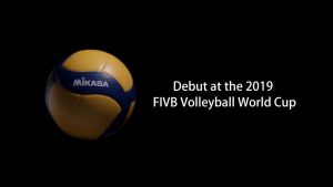 volleyballV200W Indoor and Outdoor