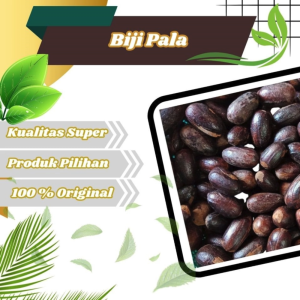 Biji Pala lonjong asal papua rempah penyedap bumbu masakan