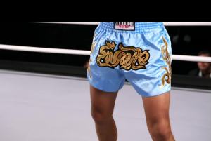 Classic Boxing Shorts for Men Training Fighting Muay Thai Shorts Boxing MMA BJJ Short Kickboxing Trunks Clothing