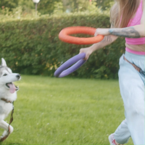 FrontGuard Plus Spot-On Tick & Flea Control for Dogs 10-20kg | MEDIUM