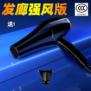Authentic Professional Student Dormitory Home Electric Hair Dryer Hotel Hair Dryer Blue Light Anion Overheating Protection Hair