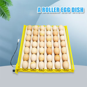 42/56 Eggs Turner Tray 360° Automatic Rotary Chicken Quail Duck With 220V