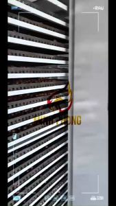 500GRAM HẠT MẮC CA (HÀNG CHỌN SIZE VIP) MINHPHONG FARM. SẢN PHẨM ĐẠT OCOP 3 SAO