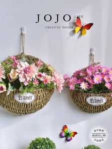 Wall Hanging Plant Pots Mr. Grocerys JJOJOs L. PD. Basket Green Ivy Epipremnum Aureum Hairy Limpet House Plant Decor