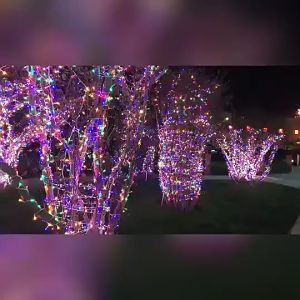 STARZ - SG SAFETY MARK  31V 20 Meter 200 Led Splash Proof Led Fairy String Lights  Multi  Christmas Tree Party Decorative Lights