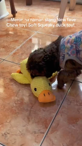 Quacking Duck Pet Toy for Dogs & Cats Plush Little Yellow Duck Squeaky Chew Comforting Toy