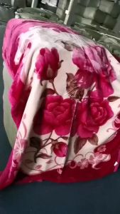 [CHĂN 15KG][GIÁ SỐC] CHĂN LÔNG TUYẾT NHUNG CHĂN NHUNG CHĂN MÙA ĐÔNG size 1m9x2m GIAO MÀU NGẪU NHIÊN