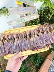 ปลาหมึกแห้ง หมึกแพ(ไม่ไข่) ครึ่งกิโล ปลาหมึกเรียงแพไม่ไข่ ส่งตรงจากปราณบุรี