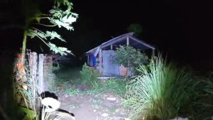 Đèn Pin Siêu Sáng XHP50-Sản Phẩm Chính Hãng -Đèn Pin Cầm Tay Tiện Lợi