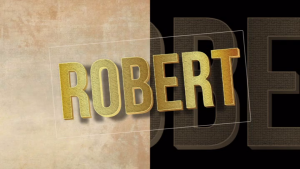 CD.17 : Bolero Nhạc Tình : 15 Bài Hát LossLess Wav 1411 kbps