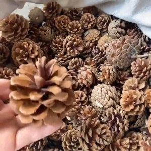 Decorative Pineapple Painting Decorative Christmas Pineapple Handmade DIY Shooting Props
