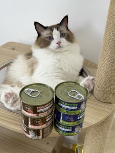 85g Pure Natural Organic Cat Wet Food Can Cat Shredded Meat Soup Can Cat Wet Food