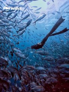 Spearfishing Free Diving Fins Professional Adult Training Snorkeling Long Diving Free Diving Fins