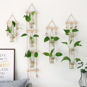 Lọ Hoa Kính Treo Tường Hydroponic Đơn Giản Mới Lạ