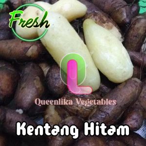 kentang klici kentang hitam fresh murah 1 kg