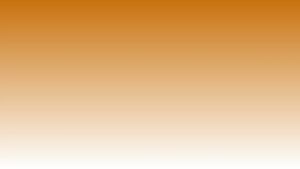 Adjustable Cable Stripper