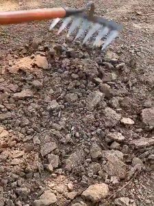 8ฟัน คราดถากหญ้า หัวไม่หลุด คลาดเหล็ก คราด คราดหญ้า ใช้ขุดดิน ขุ่นถางหญ คาดหญ้า คราดมีด้าม คราดเหล็ก ขอบหนา คาดหญ้าเหล็ก คราด อุปกรณ์ทำสวน จอบ คราดทำสวน จอบถากหญ้า คราดฟันฉลาม คราด  คราดถอนหญ้า มีดจอบ จอบคราดหญ้า