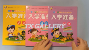 入学准备幼儿园拼音练习题 3册 Children learning chinese book (3 Books)