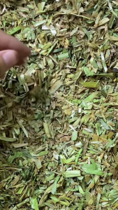 [24HR SHIP] PREMIUM DUST-FREE WHEATEN CHAFF Wheaten Imported Lucerne Chaff Hay Rabbit Guinea Pig Chinchilla Food Sekam Gandum Tanpa Habuk 无尘小麦干草