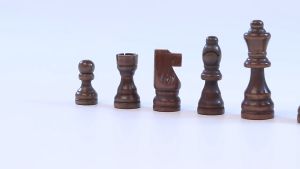 Bộ quân cờ vua bằng gỗ tự nhiên ( ko có bàn cờ ) các size tiêu chuẩn thi đấu quốc tế 2.5 - 3 inch