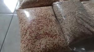 Mix Miled Milet Millet Milled pakan Burung campuran warna Putih Kuning dan Merah 1kg