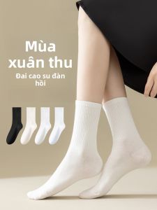 JINGCHI | Tất cotton không xương thấm mồ hôi mùa xuân thu cho nữ Tất cao đến bắp chân màu trơn phong cách đơn giản Tất đế bằng Tất cotton nguyên chất