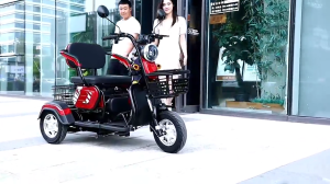 GOWEI 1000W สามล้อไฟฟ้า รถสามล้อไฟฟ้า48V20A แบต รถไฟฟ้า 3 ล้อ ผู้ใหญ่ electric bike รถไฟฟ้าผู้ใหญ่3ล้อ รถมอเตอร์ไซค์รถไฟฟ้าสามล้อ มีไฟหน้า-หลัง LED แผงหน้าปัดLCD