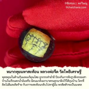 หมากทุย มหาสะท้อน หลวงพ่อจืด สวนปฏิบัติโพธิเศรษฐี