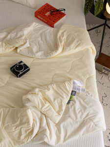 ผ้าห่มสัมผัสเย็นแบบดับเบิลูว์ ผ้าไหมน้ำแข็งสีสันสดใสสำหรับฤดูร้อน ผ้าห่มโพลีเอสเตอร์แบบเย็นสำหรับใช้ในบ้าน