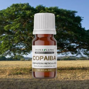 Copaiba Essential Oil 100% Pure Aromatherapeutic Grade All Natural Organic Anti Acne Pore Refining Anti Aging Skin Detox Anti Depressant Diffuser Air Freshener Purifier Yoga Grounding Calming Meditation - Hana Luna Philippines