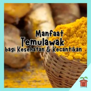 Kapsul Temulawak Green Zone 50 Kapsul Greenzone Temu Lawak Herbal Memelihara Fungsi Hati Tradisional