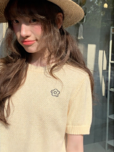 NIHAOKANONG | Áo Sweater Tay Ngắn Thêu Hoa