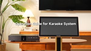 inandon 21.5" KV-V5MAX Home Karaoke Set System – 500G HDD with 4K HD Karaoke Touch Screen Jukebox Supports YouTube Premium KTV Set for Family & Party Fun