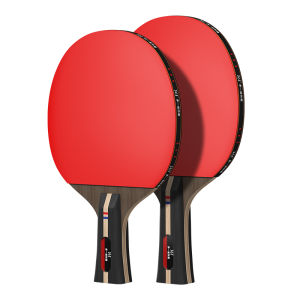 361° | High Elasticity Professional Beginner Table Tennis Racket